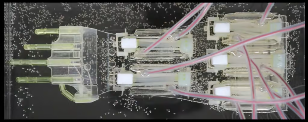 Une avancée majeure en robotique : une main biohybride dotée de tissus musculaires humains